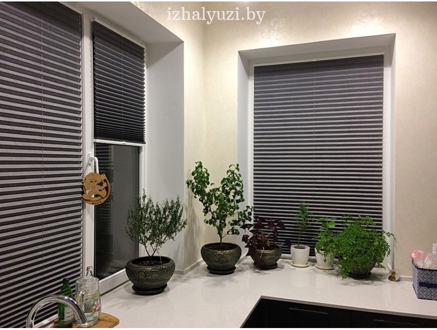 Шторы плиссе на кухню